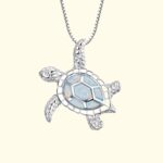 Jewelry & Accessories